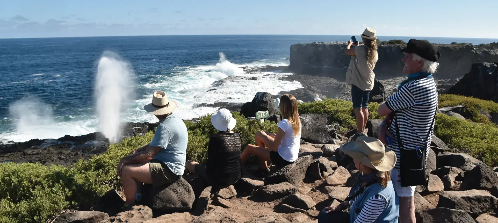 GALAPAGOS / 鬱P GALAPAGOS | 鬱P | Utsu-P